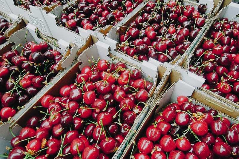 Discovery of the month